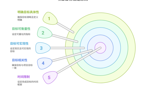 项目目标如何设定？遵循的主要原则分析