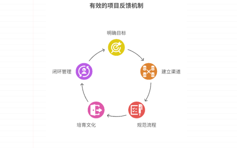 项目反馈机制怎么设计