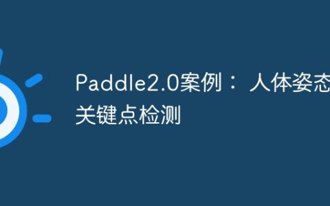 Paddle2.0案例： 人体姿态关键点检测