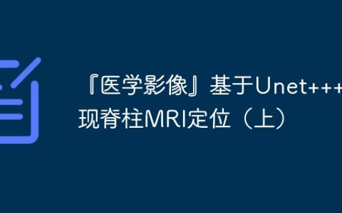 『医学影像』基于Unet+++实现脊柱MRI定位（上）