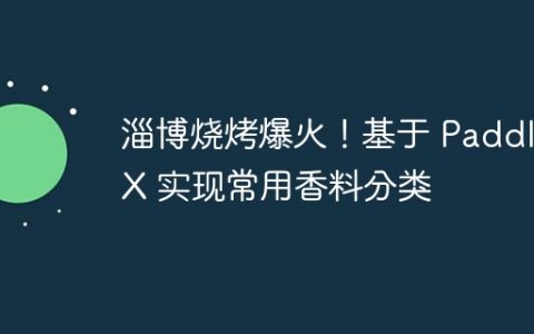 淄博烧烤爆火！基于 PaddleX 实现常用香料分类
