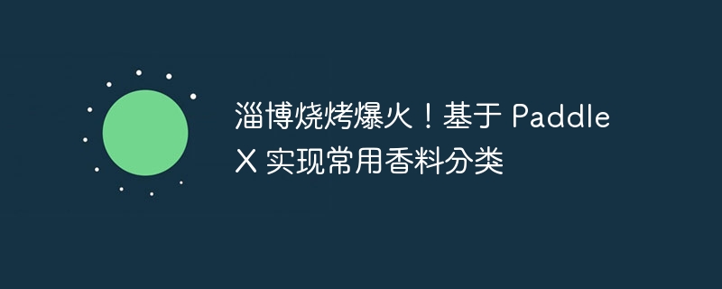 淄博烧烤爆火!基于 paddlex 实现常用香料分类 - 创想鸟