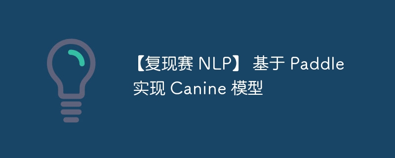【复现赛 NLP】 基于 Paddle 实现 Canine 模型