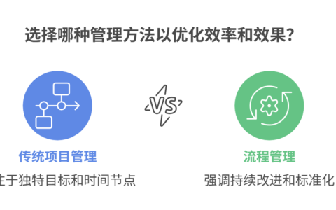 传统项目管理和流程管理区别