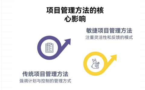 项目管理方法对团队流程的影响