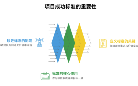 项目缺乏成功衡量标准会导致什么问题