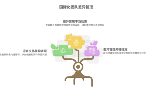 语言与文化差异如何影响国际化团队