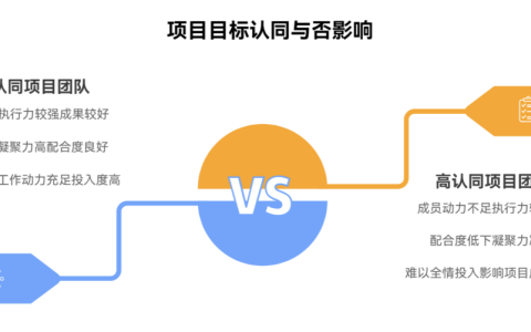 为什么成员对项目目标缺乏认同感