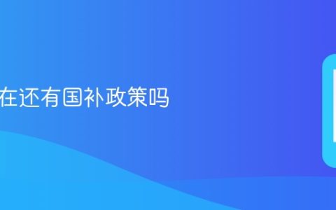 手机现在还有国补政策吗