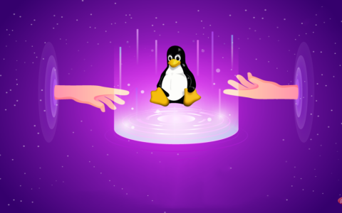 Linux 网络抓包分析工具