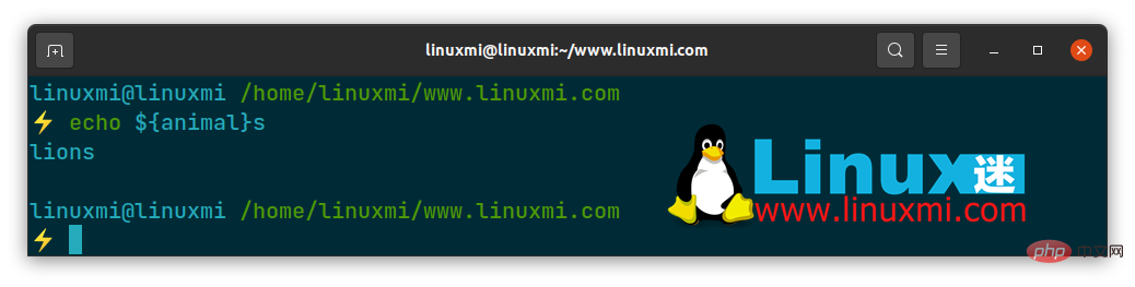 Bash 中的 ${} 和 $() 有什么区别