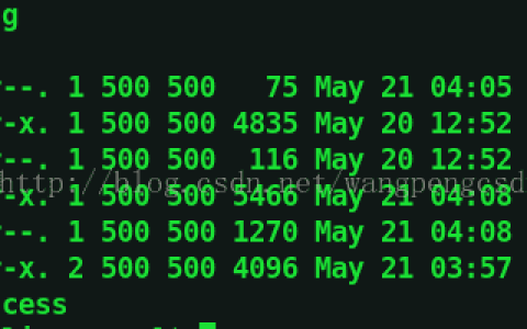 Linux使用exec函数实现进程替换的代码分享