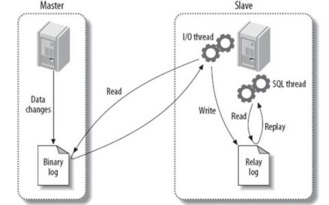 详解MySQL的主从复制、读写分离、备份恢复