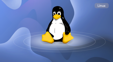 linux常用命令more怎么用
