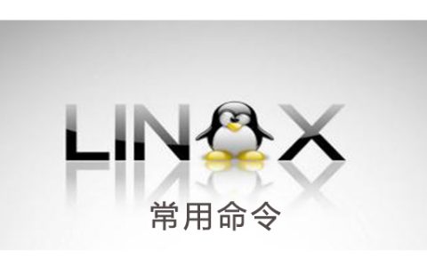 linux最常用的20个命令有哪些