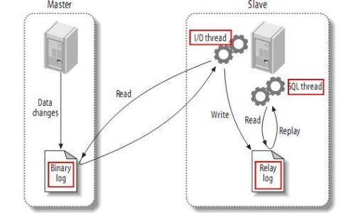 MySql主从复制是什么？如何配置实现？