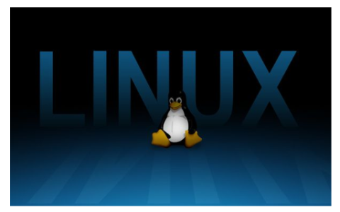 如何在Linux上编译和运行C和C++程序