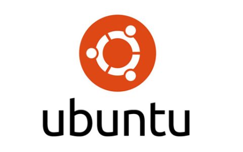 如何使用命令行检测Ubuntu版本？
