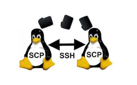 如何使用Linux中的SCP命令安全地传输文件