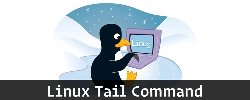 Linux如何使用tail命令?