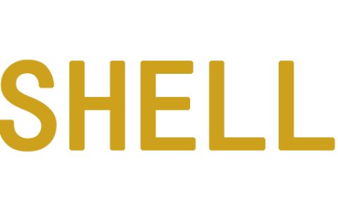 如何在shell脚本中为用户分配密码