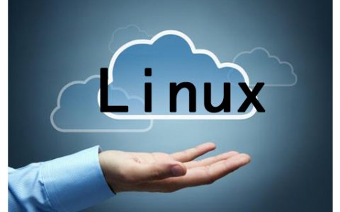 如何安装Linux恶意软件检测的程序