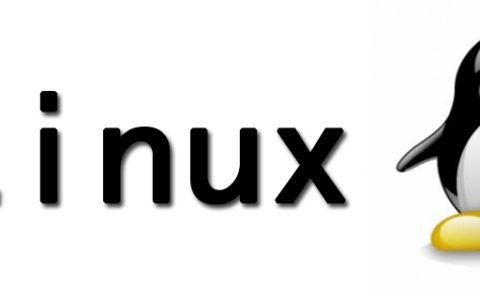 如何在Linux上启用IP转发