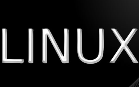 Linux下如何查看环境变量？