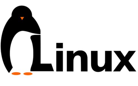 linux系统如何查看硬盘大小