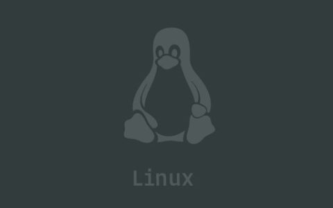 Linux如何获取CPU信息？