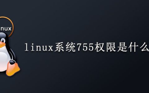 linux系统中的755权限是什么意思