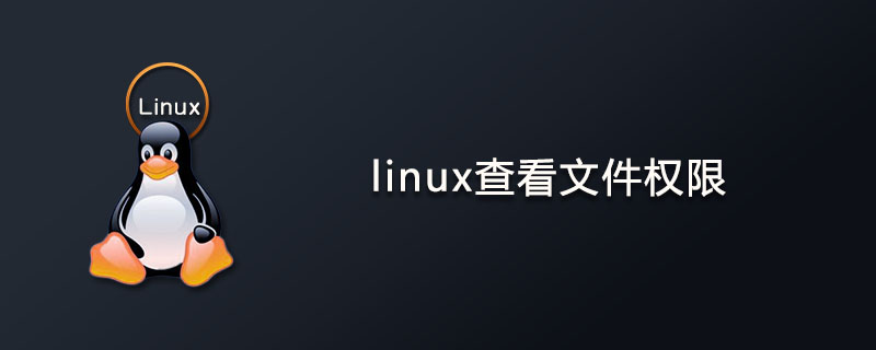 linux文件权限怎么看?