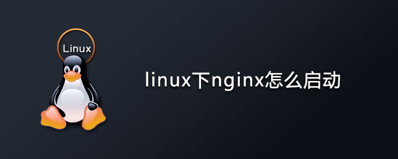 linux下nginx怎么启动?