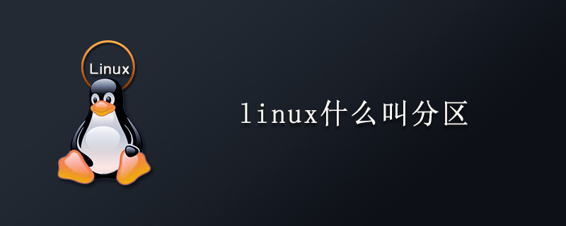 linux什么叫分区