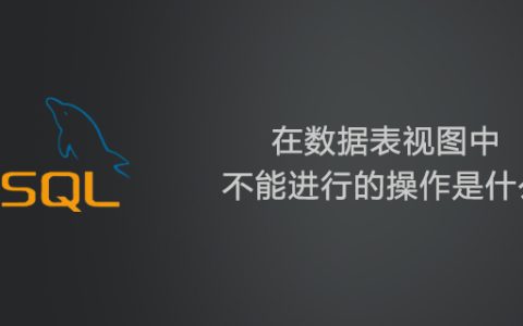 在数据表视图中不能进行的操作是什么