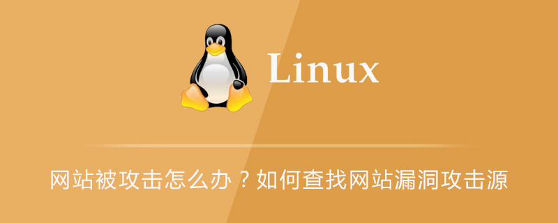 网站被攻击怎么办？如何查找网站漏洞攻击源