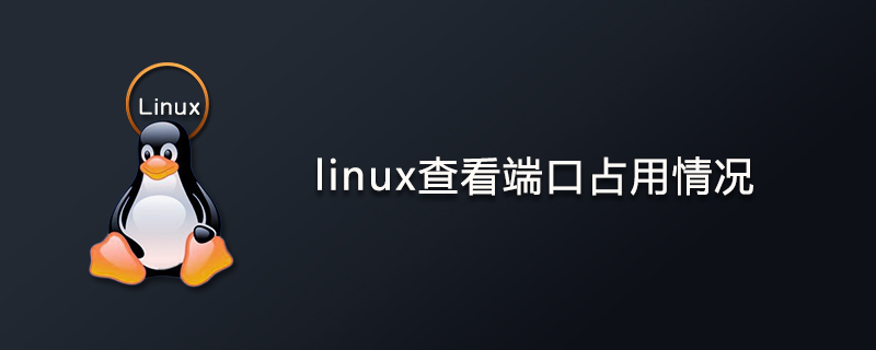 linux查看端口占用情况