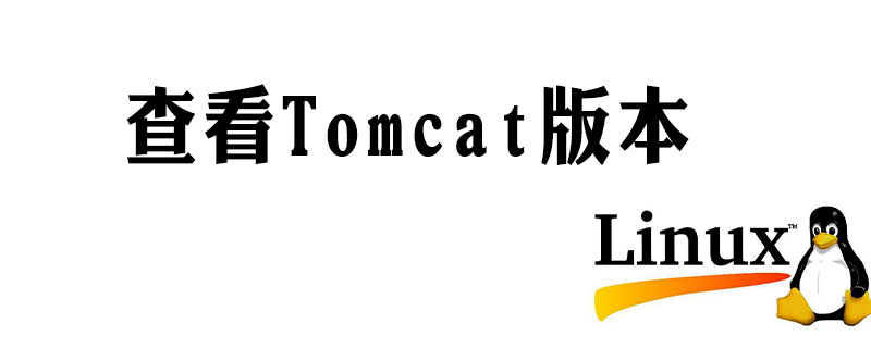 linux如何查看tomcat版本