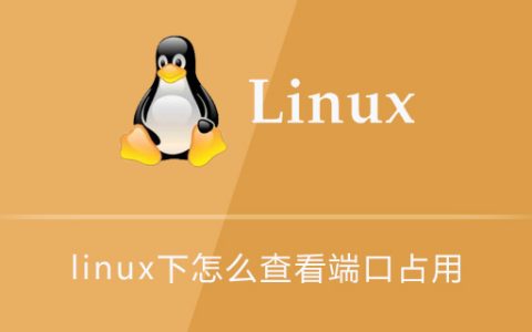 linux下怎么查看哪些端口被占用