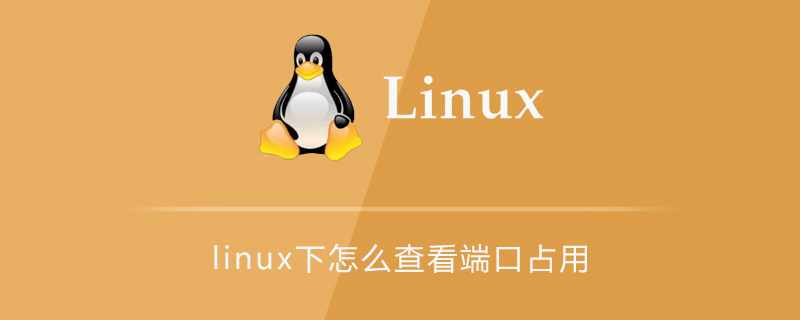 linux下怎么查看哪些端口被占用