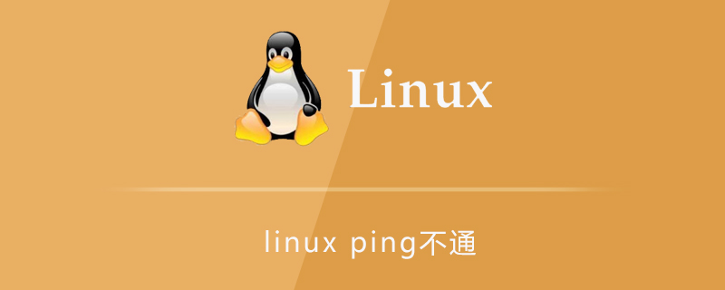 linux ping不通外网