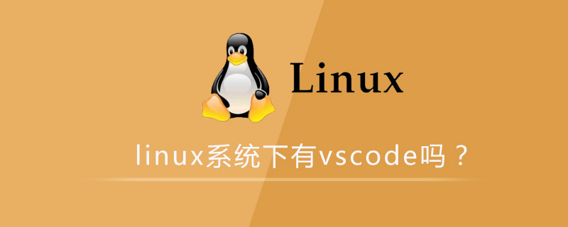 linux系统下有vscode吗