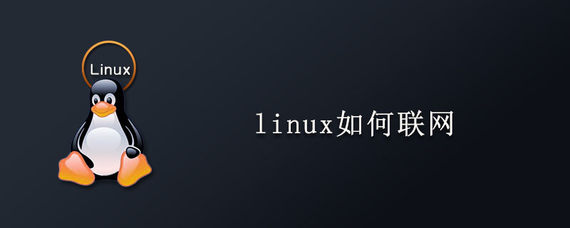 linux如何联网