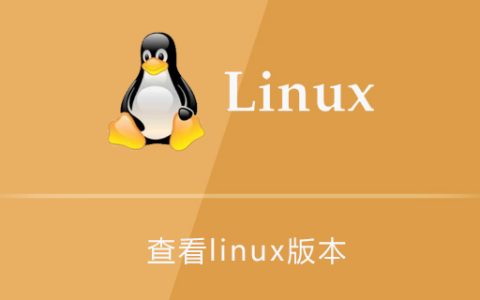 怎么查看linux版本