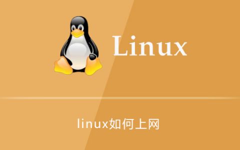 linux如何上网