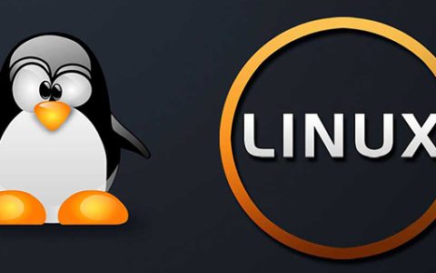 linux如何设置中文