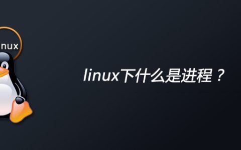 linux下什么是进程