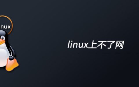 linux上不了网