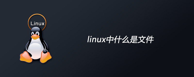 linux中什么是文件