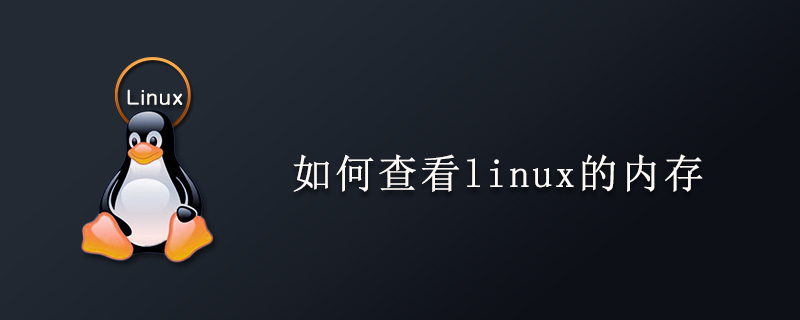 如何查看linux的内存